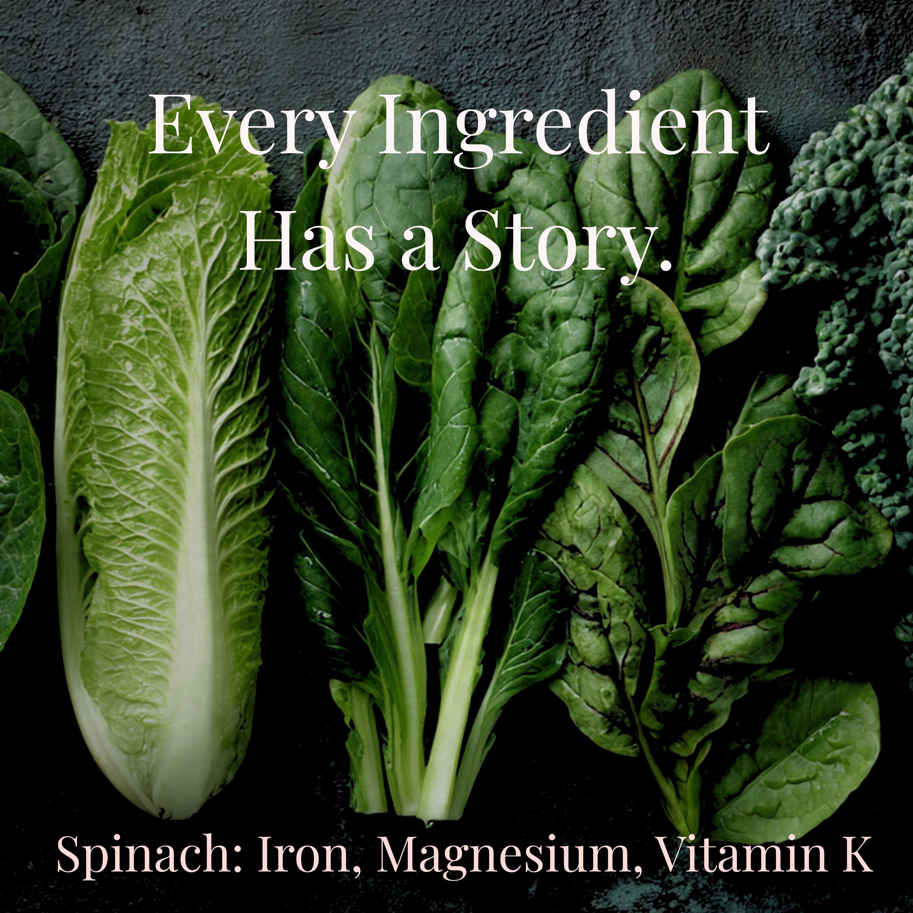 Nutrition Meal Planner preview 5